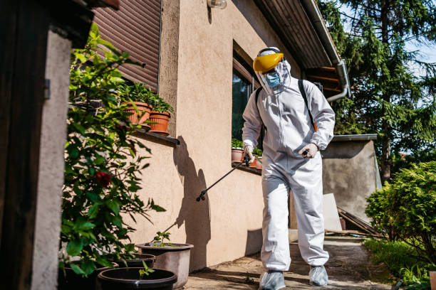 Best Wildlife Control Services  in Woodlawn, OH
