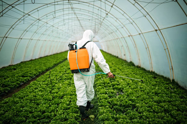 Best Best Pest Control Companies  in Woodlawn, OH