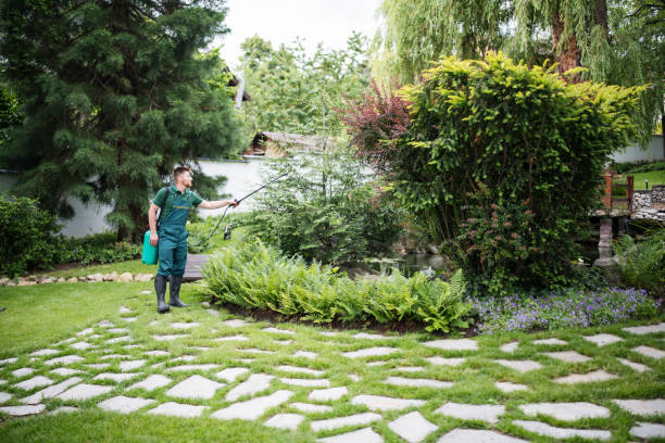 Best Pest Removal Services  in Woodlawn, OH
